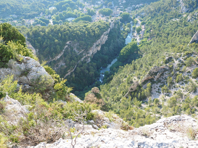 growth, above, water, fontaine-de-vaucluse, tree, karst landscape, plant, no people, karst area, non-urban scene, scenics - nature, sorgue, remote, environment
