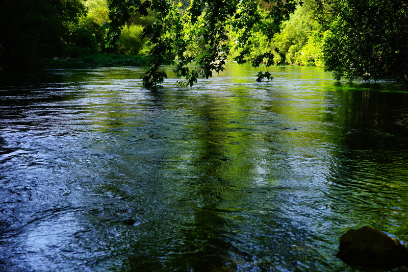 clear, frisch, reflection, shimmer, green color, growth, idyllic, day, water, scenics - nature, 5K, waterfront, france, fontaine-de-vaucluse, provence