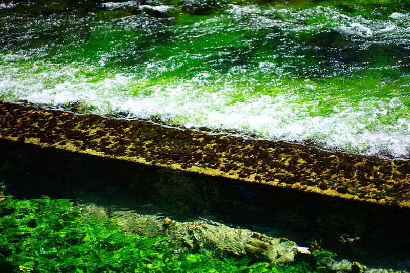 flowing, day, moss, plant, sea, green color, fontaine-de-vaucluse, beauty in nature, clear, green, architecture, shimmer, nature, no people, built structure
