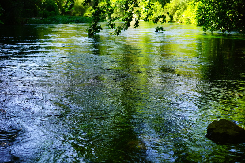 clear, beauty in nature, photo, lake, animal themes, shimmer, trees, no people, reflection, provence, rippled, day, nature, vertebrate, green, waterfront