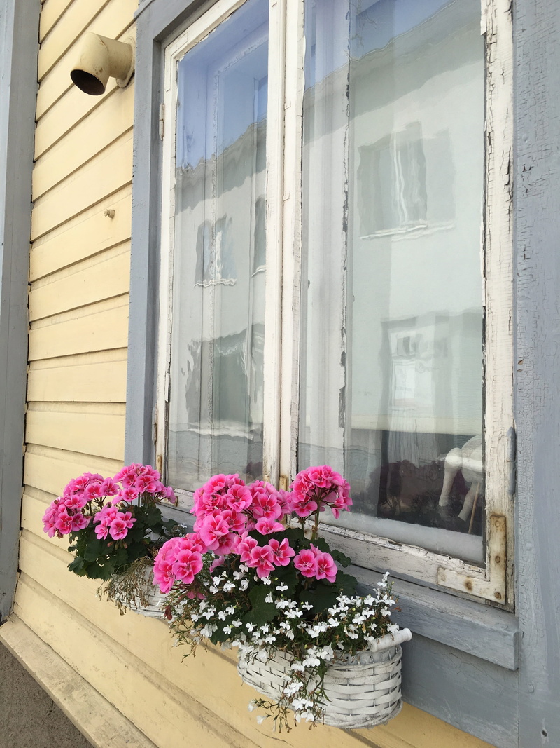 color, window box, beauty in nature, space, window sill, style, front, freshness, flower, table, purple, outdoors, glass, exterior, house, decoration, pink color