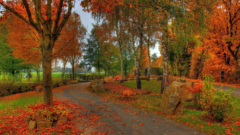 best pictures of nature hd picture 1920x1080, 1080P