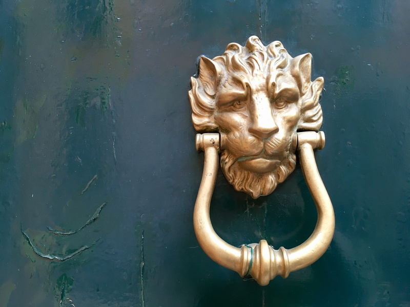 dingdong, craft, door knocker, gold, representation, ornate, close-up, door bell, Bell, 4K, handle, mammal, wooden door, outdoors, door, Entrance, Door