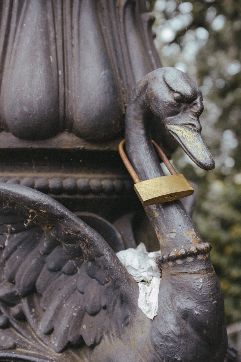 4K, one animal, ornate, metal, vintage, statue, representation, knocker, vertebrate, creativity, art and craft, focus on foreground, outdoors, lock, detail