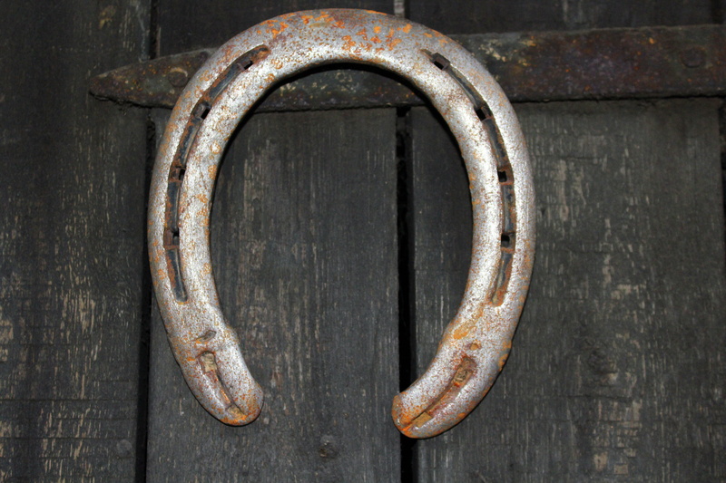 fortunately, circle, wood - material, day, geometric shape, deterioration, entrance, accessories, close-up, door, no people, 5K, old, talisman, stud, rust