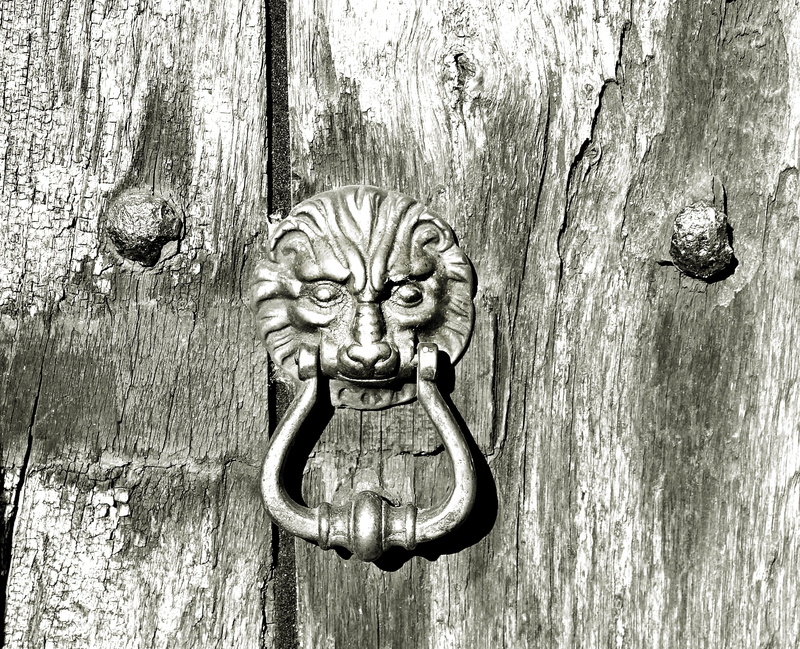 old wooden door, animal, bronze, doorknocker, gray, craft, close up, art and craft, carving, solid, no people, fitting, day, door hardware, close-up, animal wildlife