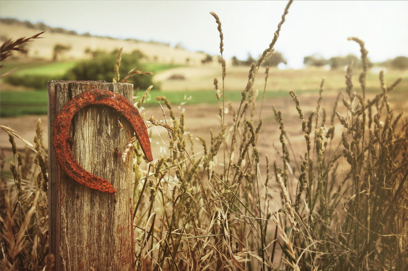 horse, nature, lucky, horseshoe, no people, selective focus, focus on foreground, tranquility, good, field, wood - material, shoe, sky, landscape, post