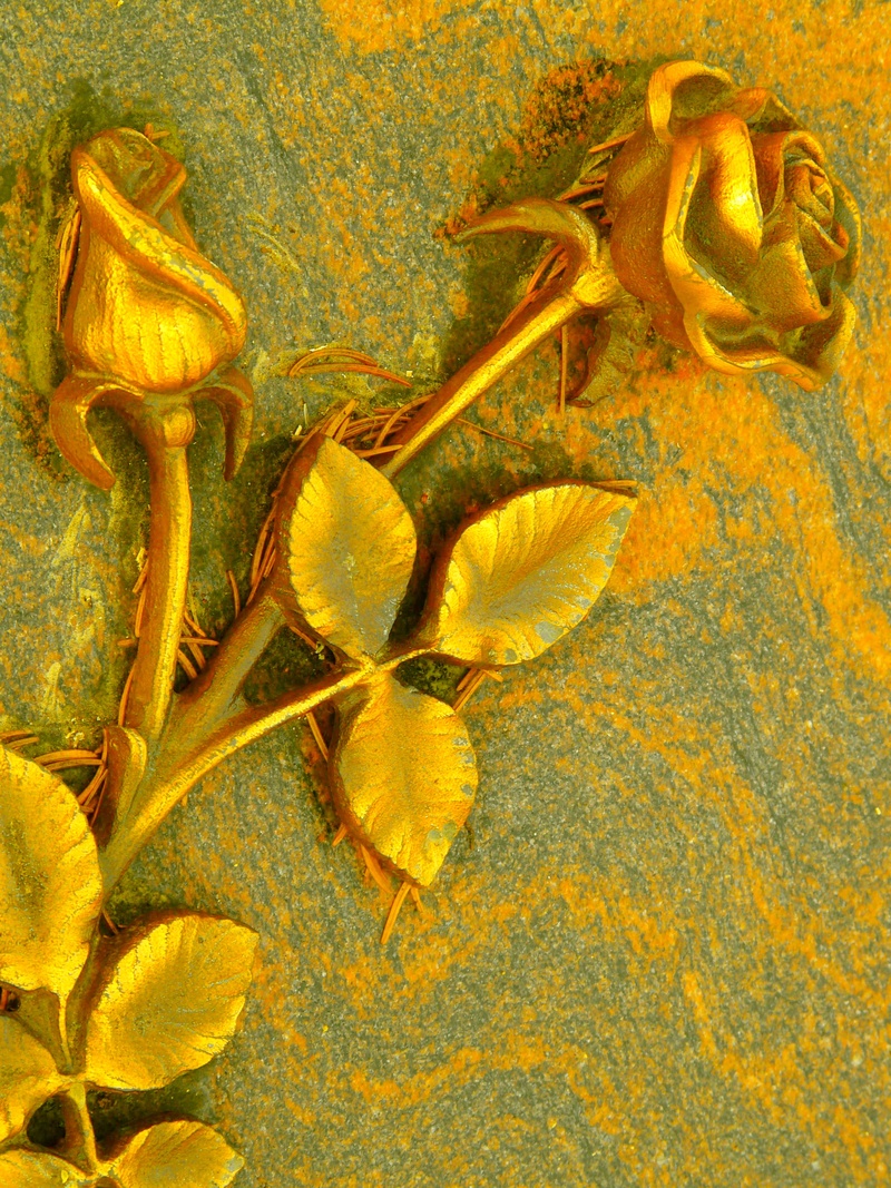 design, plant part, backdrop, old, indoors, wall, gold, wellbeing, beauty in nature, no people, studio shot, directly above, herb, food, nature, plant