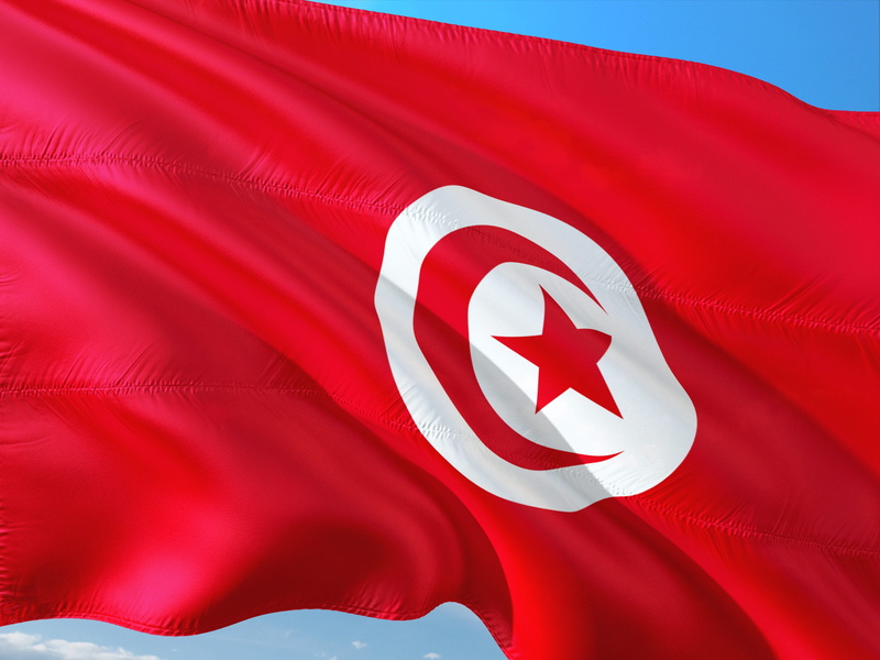 pride, no people, maple leaf, tunis, star shape, international, full frame, patriotism, textile, leaf, flag, symbol, insignia, white color, red, 4K, tunisia