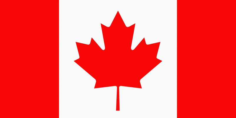 Sheet, patriotism, 4K, textured effect, close-up, Flag, Coat of arms, leaf, white background, pride, red, Canada, no people, clean, symbol, insignia, single object