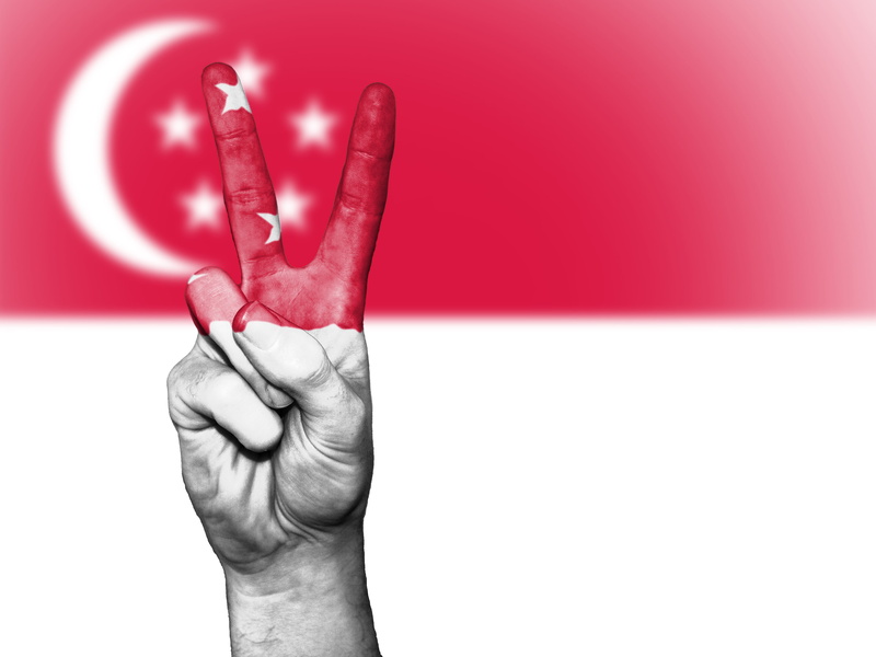 human hand, red, communication, human limb, peace, holding, studio shot, background, men, art, human finger, palm, human body part, patriotism, singapore