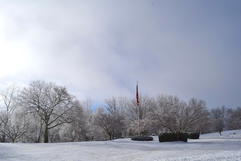 morning, ice, land, beauty in nature, hoarfrost, trees, scenery, tranquil scene, landscape, bare tree, snowing, clouds, cold, building exterior, 4K, outdoors