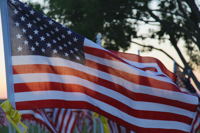 holiday, patriotic, plant, fourth, shape, independence, 4K, stars, symbol, stripes, patriotism, memorial, no people, freedom, day, nature, america, white