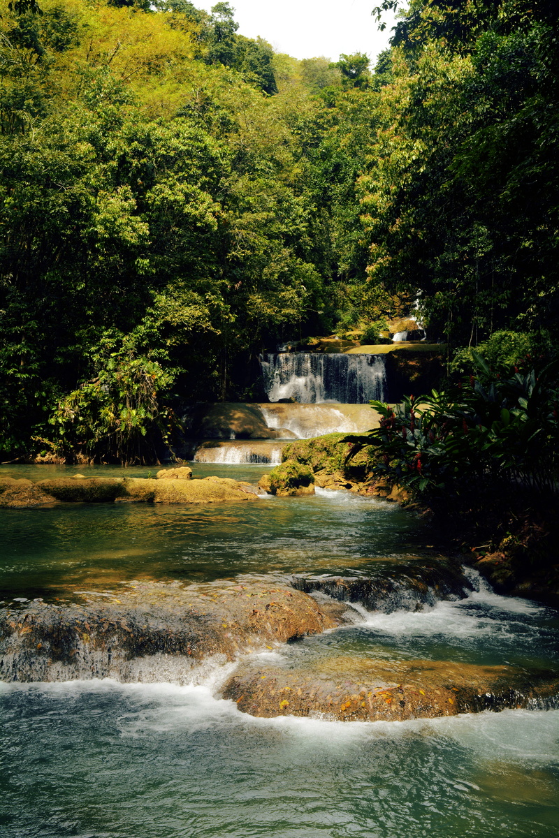 growth, scenics - nature, forest, motion, beauty in nature, jamaica, blurred motion, water, 5K, falls, land, ys falls, environment, flowing, power in nature