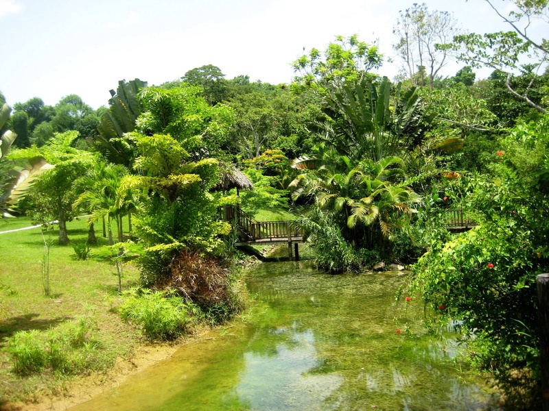 nature, nature and landscapes, 1080P, water, river, jamaica