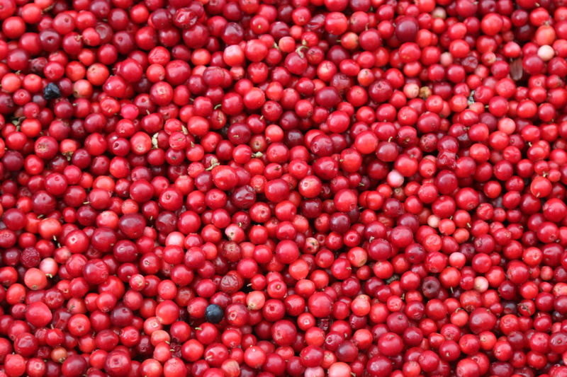 food, red, jamaican, cherries, fruit, large group of objects, agriculture, 5K, crop, freshness, full frame, nature, bunch, ripe, wellbeing, color, pomegranate