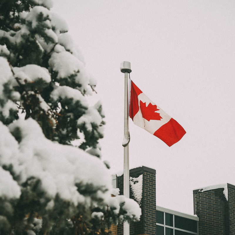 sky, symbol, built structure, urban, cold, nature, tree, 4K, flag, independence, near, goblet, no people, clear sky, outdoors, buildings, adventure, waving