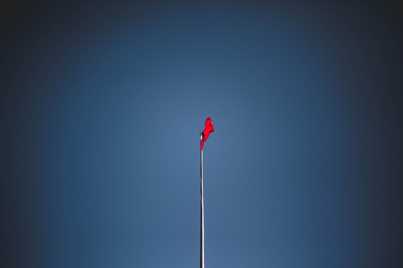 launch, tarmac, emotion, low angle view, no people, lamp post, 5K, light, red, outdoors, adventure, pole, blue, wind, flare, bird, animal, blue sky, single object
