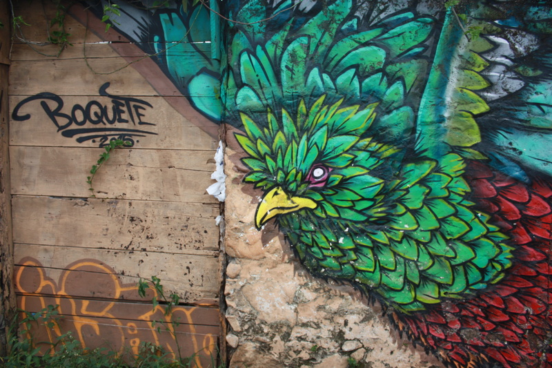 feather, quetzal, close-up, graffiti, built structure, mural, nature, animal, one animal, dom, street art, spray paint, wall - building feature, day, 4K