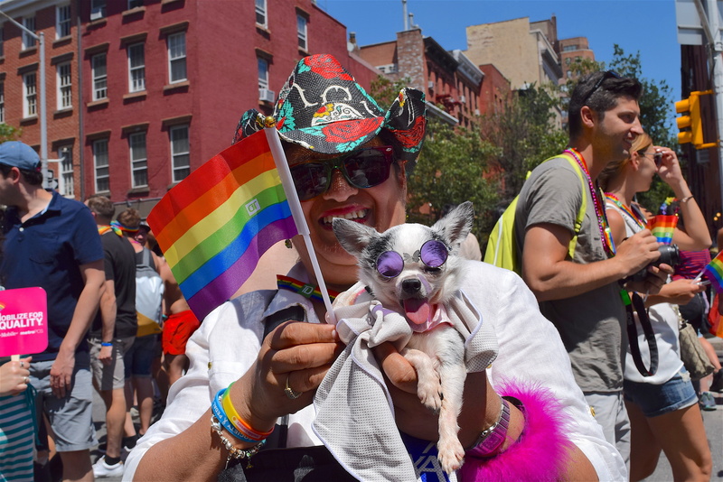 gay pride, happy, woman, together, festive, lifestyle, women, built structure, carnival - celebration event, festival, sign, pride fest, multi colored