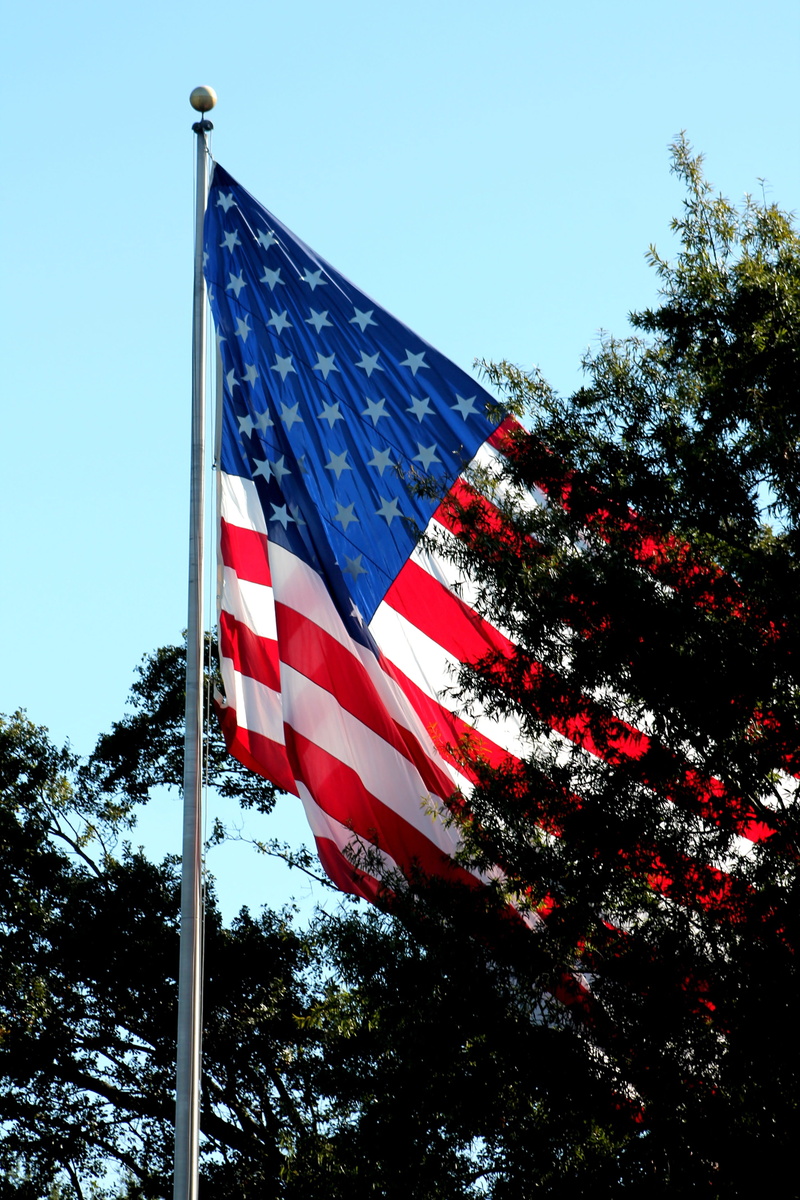 clear sky, plant, patriotism, fourth of July, star shape, stripes, 4K, uSA, dom, american, red, striped, flag, Patriotic, waving, day, low angle view