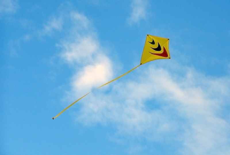 happiness, lifestyle, kite - toy, paper kyte, symbol, wind, low angle view, cloud - sky, Blue, environment, Kyte, flag, single object, fun, animal, blue