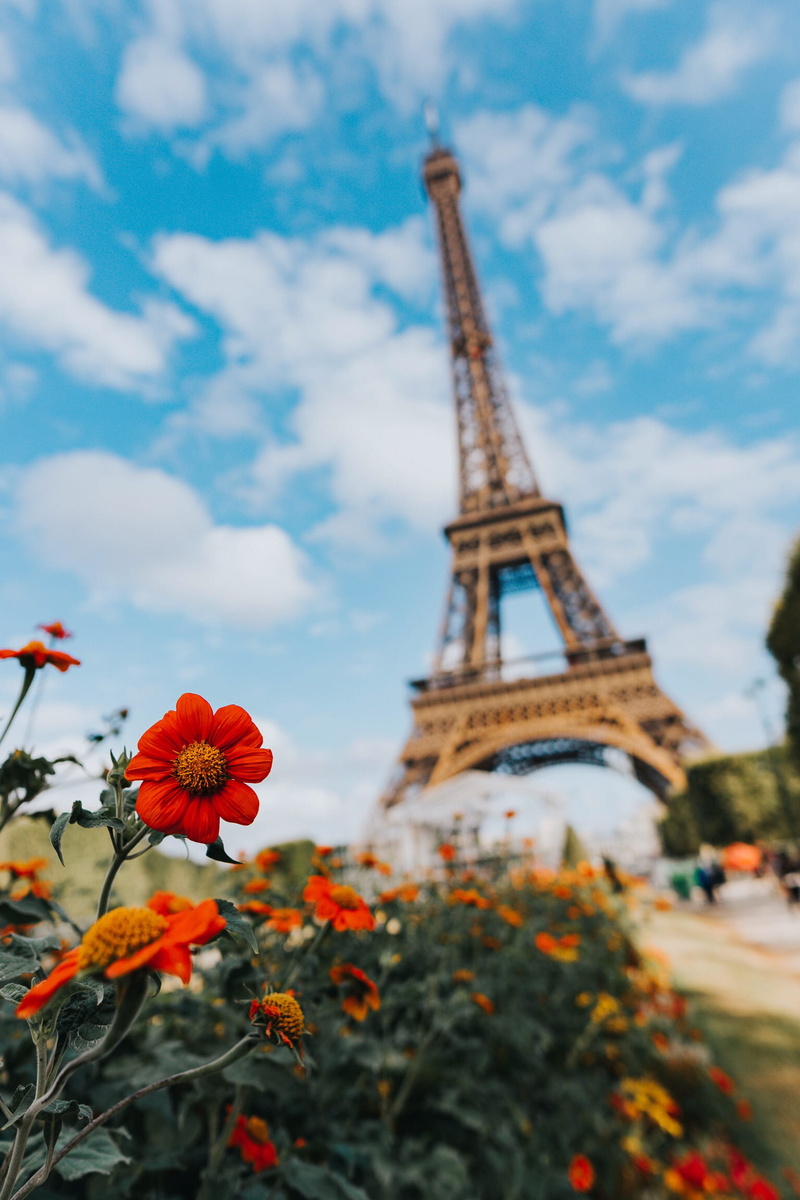 architecture, monument, blur, awesome, outdoors, travel Destinations, nature, cityscape, capital Cities, paris - France, tourist, sky, architetcure, france