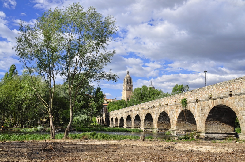 landscape, architecture, arch bridge, river, 4K, nature, outdoors, plant, bridge, building, day, city, the past, water, building exterior, bridge - man made structure