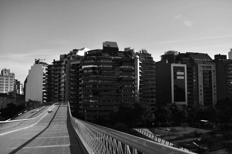 tree, cityscape, office building exterior, black and white, cordoba, building, transportation, city, nature, architecture, outdoors, 4K, skyscraper, building exterior