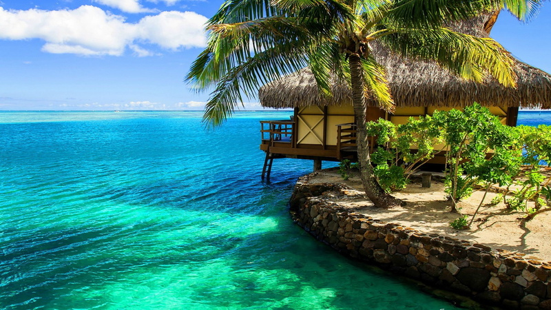 holiday, palm, beach, sun, nature, turquoise, sand, travel, ocean, sky, paradise, hotel, landscape, shore, vacations, tranquil, resort hotel, coastline