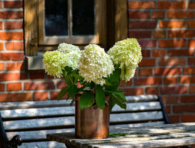 table decoration, communion, birthday, window, shadow, no people, flower pot, 5K, wood, eat, decoration, day, brick wall, wall, outdoors, chair, table