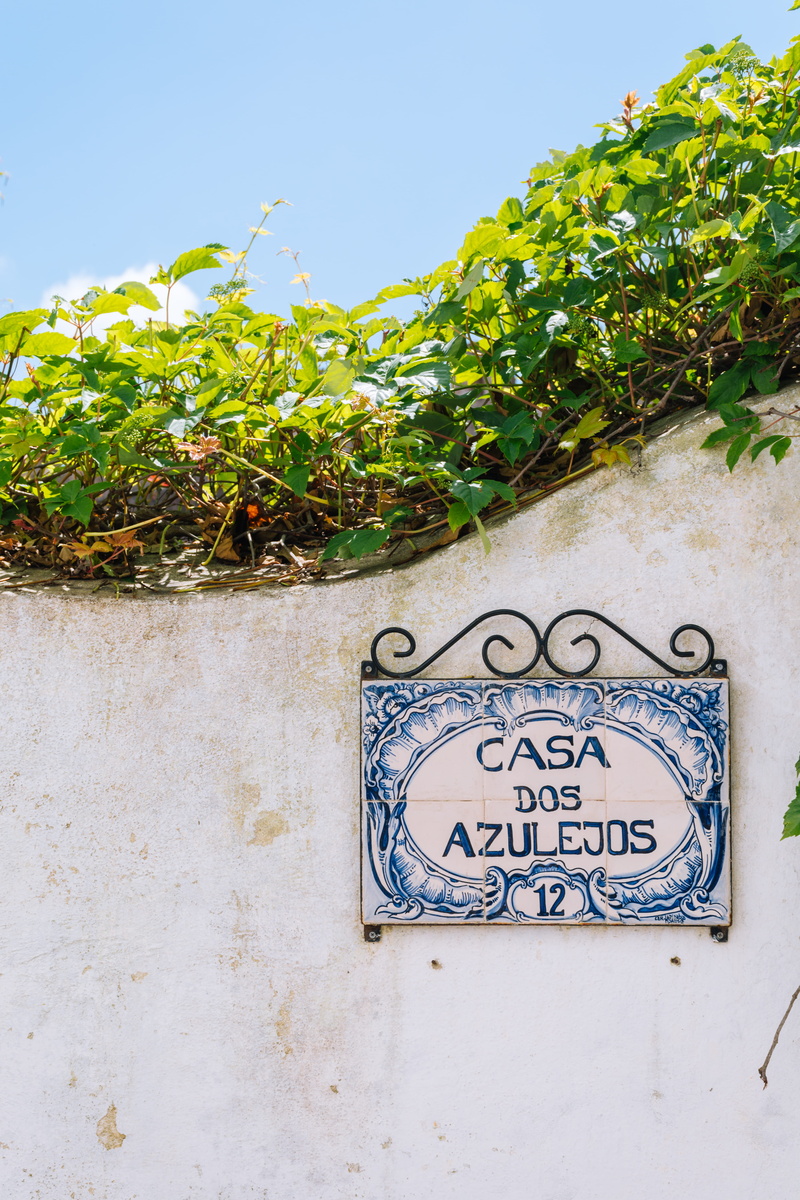 leaves, message, wall, text, potted plant, growth, vine, no people, portugal, signage, plant, vegetation, architecture, sign, outdoors, house, leaf, western script