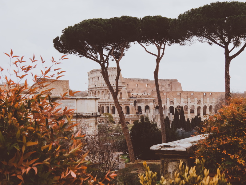 nature, the past, metropolitan city of rome, outdoors, roman forum, tourism, building, autumn, architecture, day, colosseum, italy, history, travel destinations