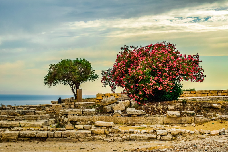 kourion, cyprus, archeology, land, landmark, growth, sky, cloud - sky, rock, beauty in nature, scenics - nature, horizon, site, stone wall, ancient, ruins