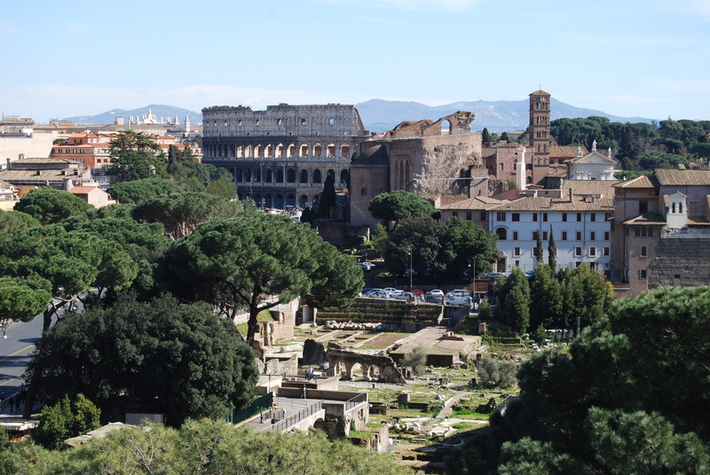 plant, travel destinations, city, historical, ruin, built structure, arch, day, ancient, architecture, european, ancient civilization, travel, sky, italy