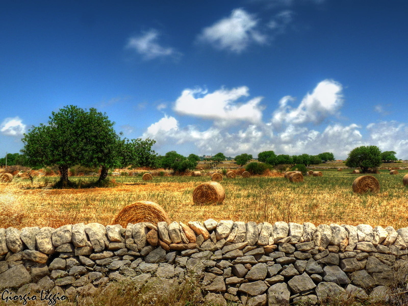 granite, scenics, panasonic, Sicily, hay, land, straw, fz28, farm, landscaped, field, rural Scene, Landscape, bale, siciliana, hdr, gray, Sicilian, crop
