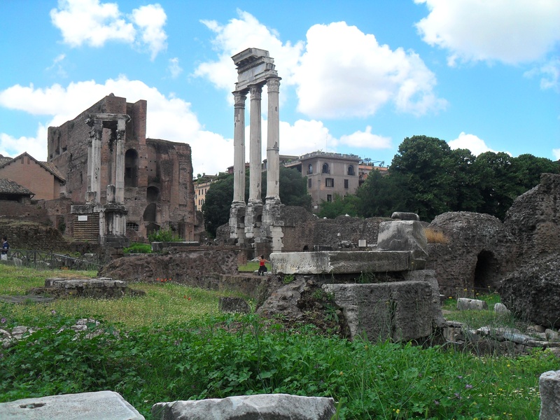 travel, roman forum, archaeology, italy, building exterior, ancient civilization, ruined, sky, travel destinations, architectural column, historical landmark