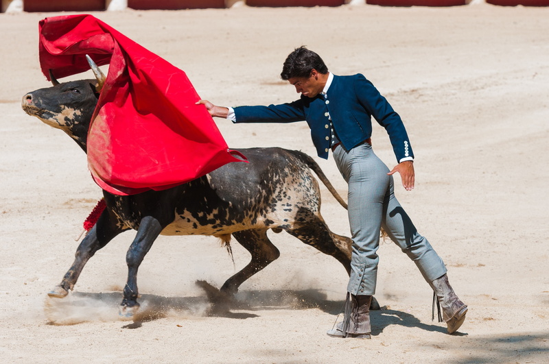 domestic animals, mature men, nature, pets, man, beaucaire, livestock, full length, near, land, one animal, bull, arena, day, leisure activity, people