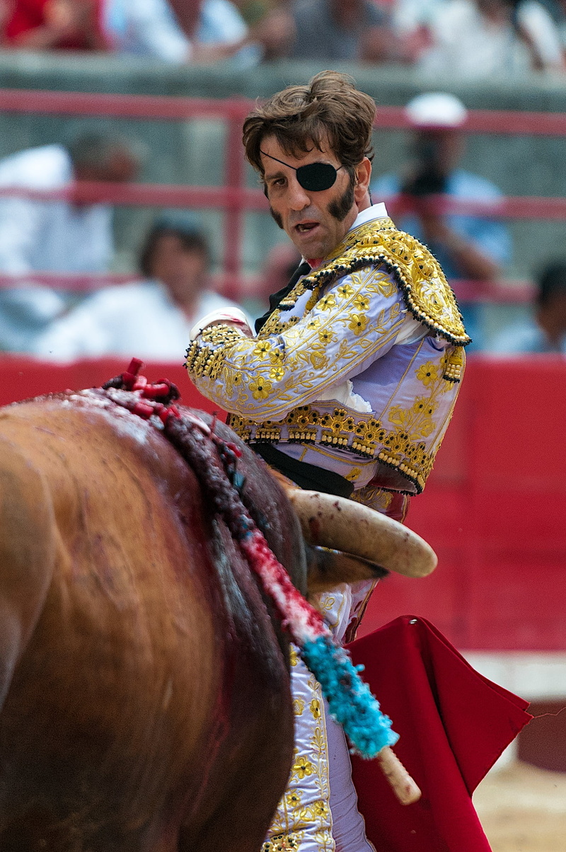 outdoors, padilla, lifestyles, bulls, real people, arenas, focus on foreground, belief, animal wildlife, domestic animals, livestock, women, mammal, domestic