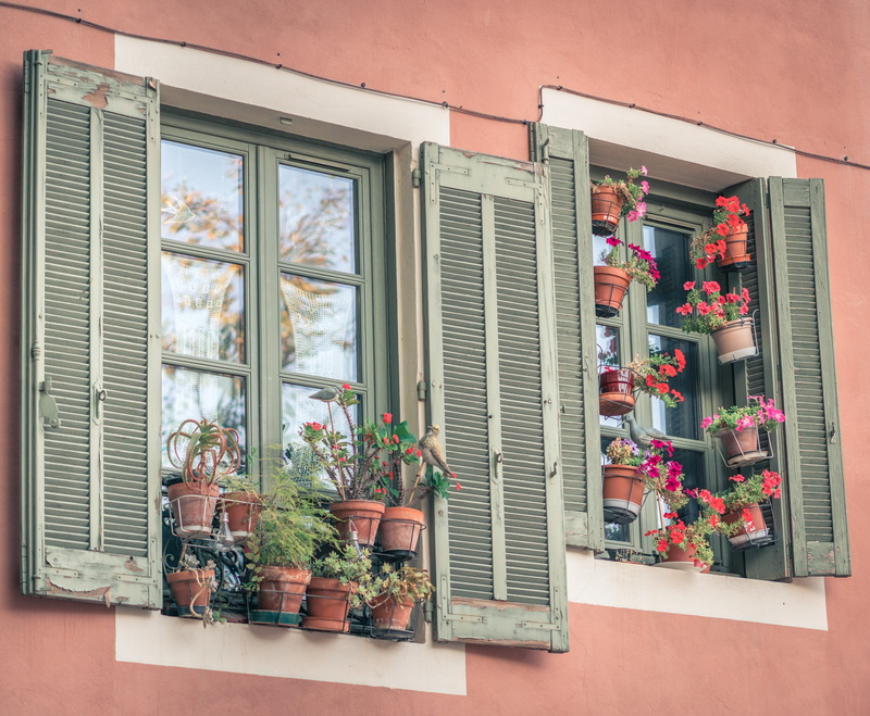 window, flower pot, 5K, day, glass - material, residential district, nature, architecture, transparent, built structure, nimes, building exterior, window box