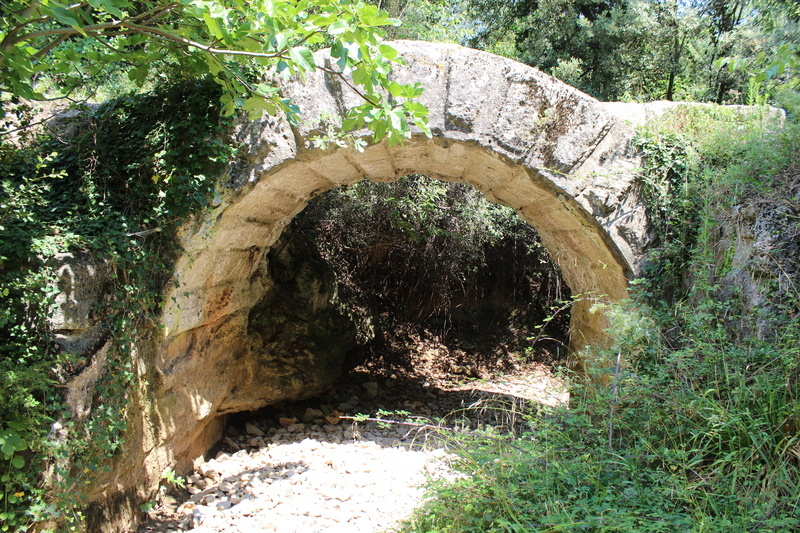 tunnel, built structure, vestige, 5K, beauty in nature, forest, bridge, arch bridge, plant, green color, nature, tree, tranquility, arch, no people, arched