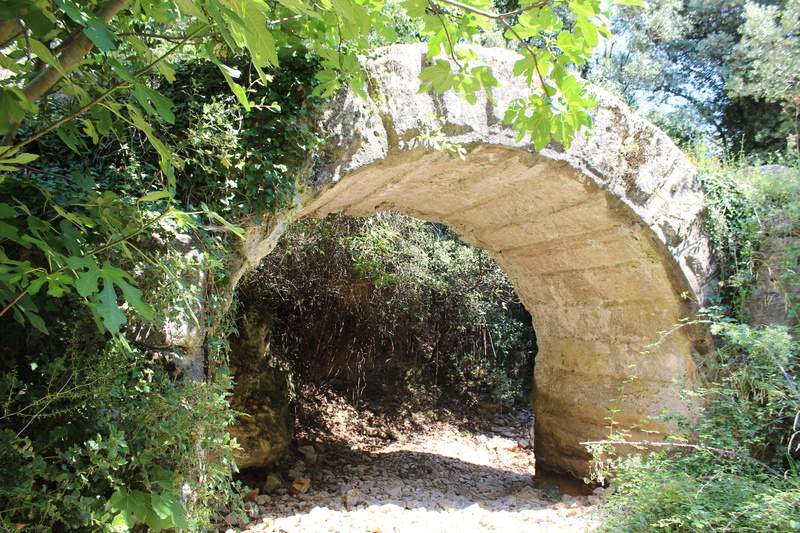 antique, plant part, forest, sunlight, outdoors, solid, growth, aqueduct, green color, tree, natural arch, architecture, built structure, nature, plant