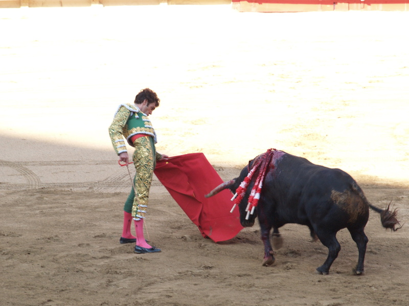 spain, bulls, water, domestic animals, animal, sand, leisure activity, mammal, standing, full length, torero, real people, one animal, beach, land, 2K
