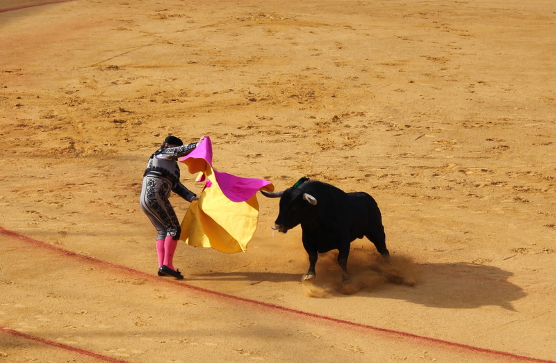 pets, dog, real people, seville, matador, canine, full length, daytime, one animal, day, domestic animals, bull fighting, vertebrate, women, black, land
