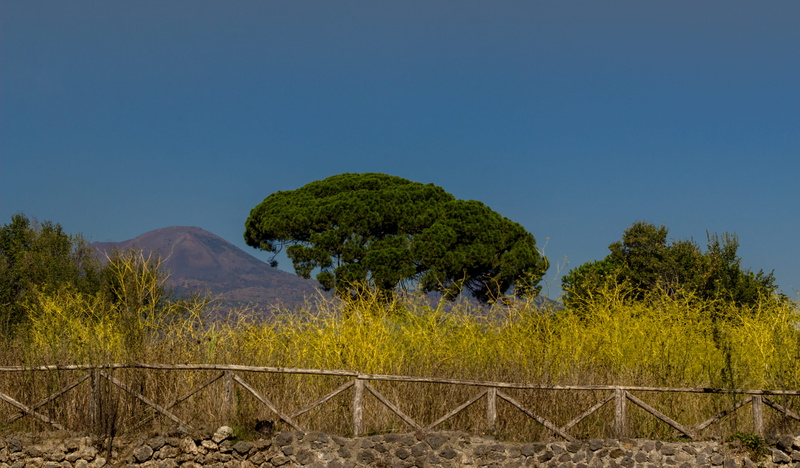 summer, environment, plant, beauty in nature, boundary, landscape, colour, hot, vesivius, land, scenics - nature, outdoors, mountain, nature, clear sky