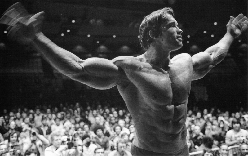 Director, man, Actor, athlete, 1080P, Arnold Schwarzenegger, Producer