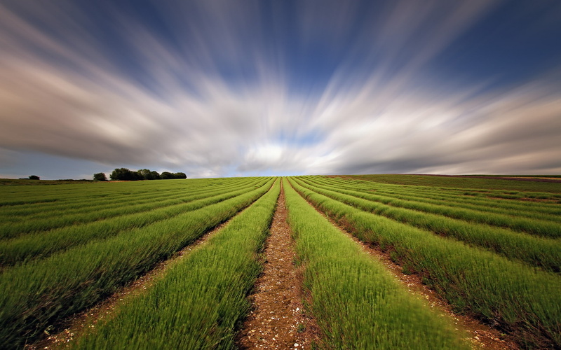 1080P, straight, field, sky, lines, landscape, background, clouds, green