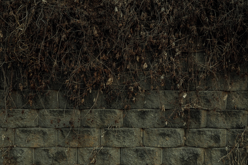 outdoors, day, damme, wall, protection, plant, stone wall, no people, plants, block, autumn, nature, built structure, fence, tree, brick, backgrounds, metal