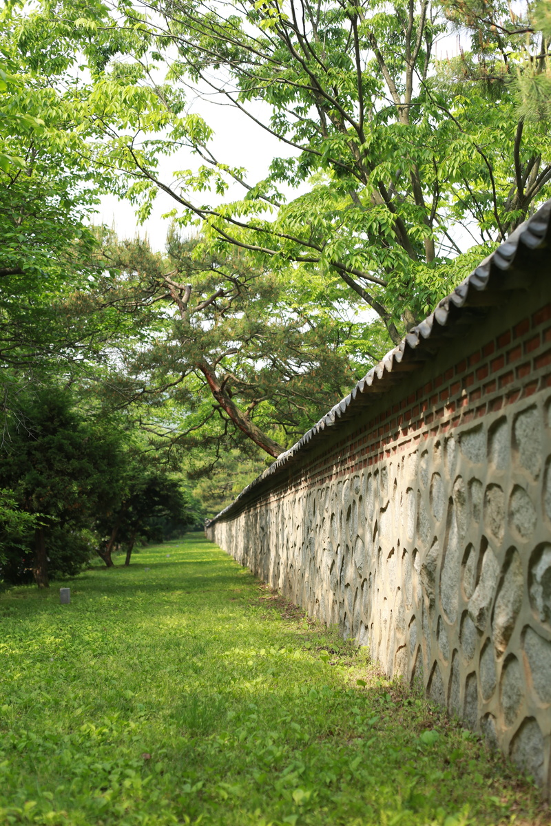 damme, traditional, background, the leaves, tranquility, green color, tree, wild, building, day, rock wall, green, stone wall, texture, building exterior