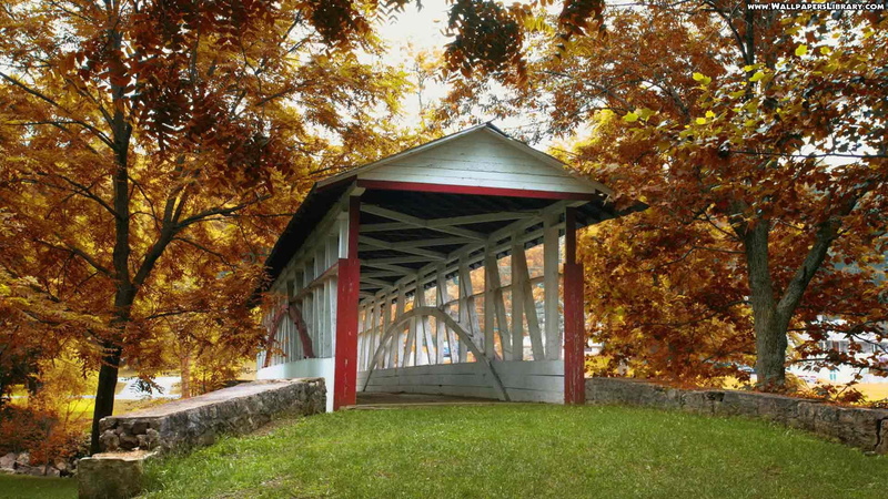 rustic, bridge, timber, 1080P, nature and landscapes